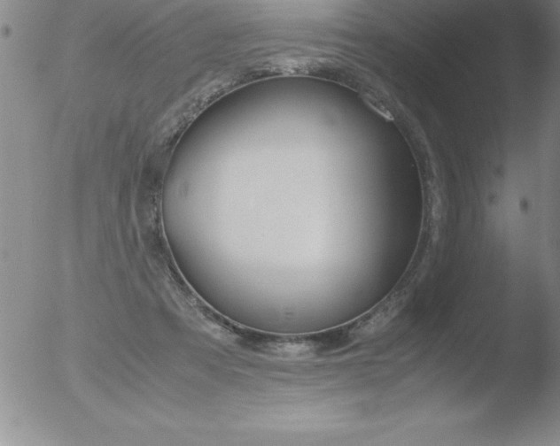 X0000051910313200507082036