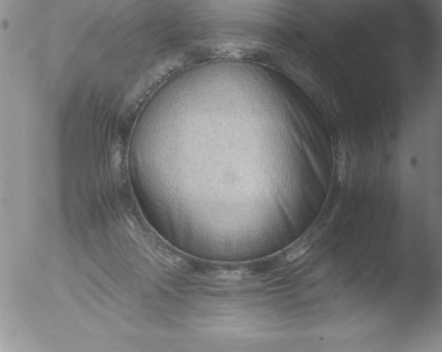 X0000051910314200507082036