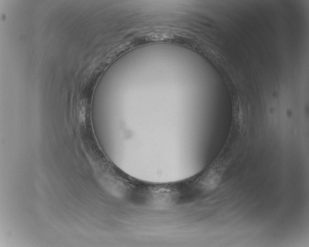 X0000051910315200507082036