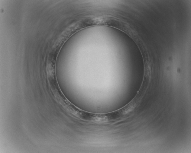 X0000051910317200507082036