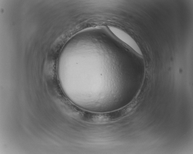 X0000051910319200507082036