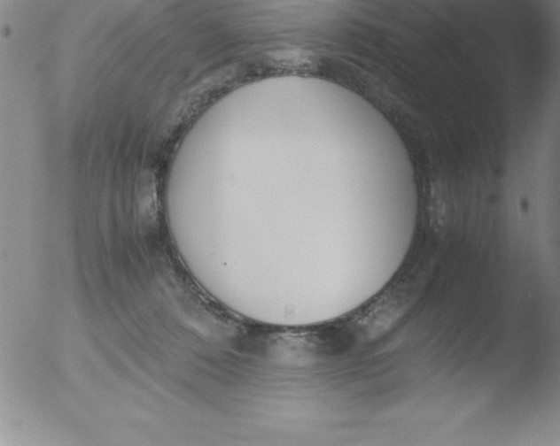 X0000051910320200507082036