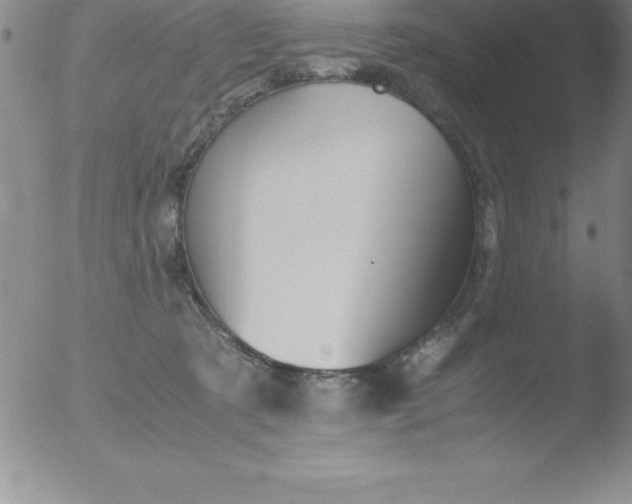 X0000051910321200507082036