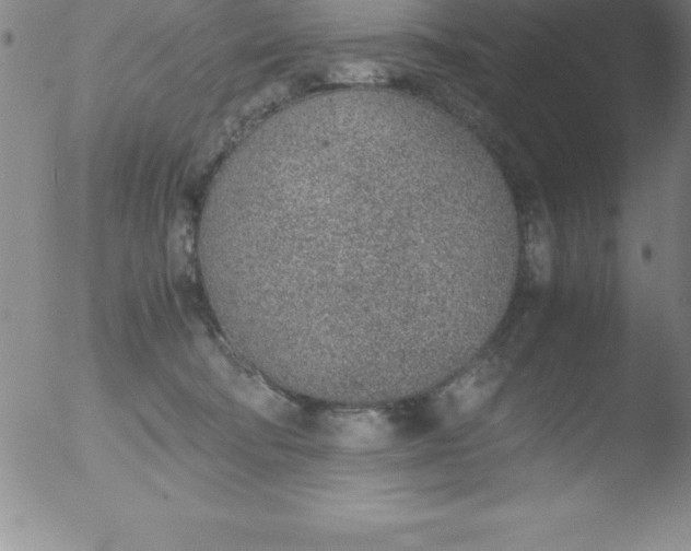 X0000051910322200507082036