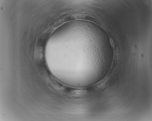 X0000051910323200507082036