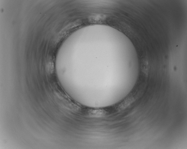 X0000051910324200507082036