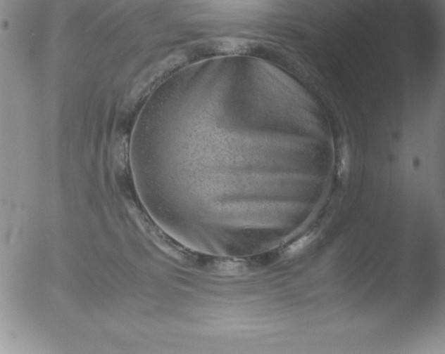 X0000051910325200507082036