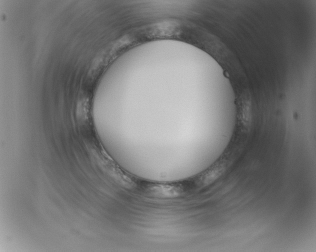 X0000051910326200507082036