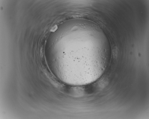 X0000051910327200507082036