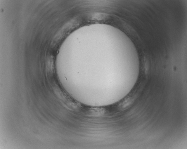 X0000051910328200507082036