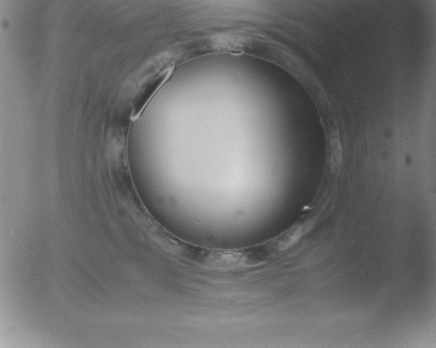 X0000051910329200507082036