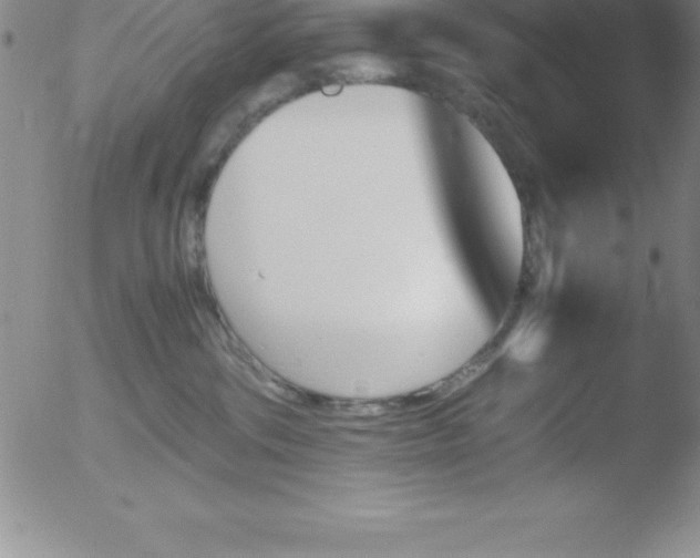 X0000051910330200507082036