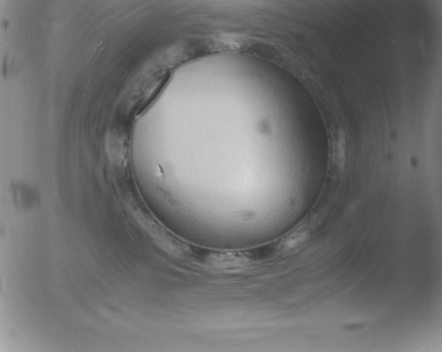 X0000051910331200507082036