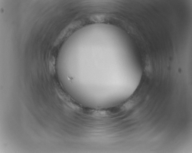 X0000051910332200507082036