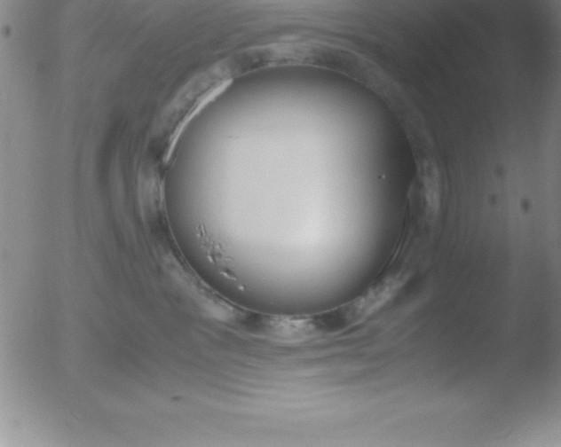 X0000051910333200507082036