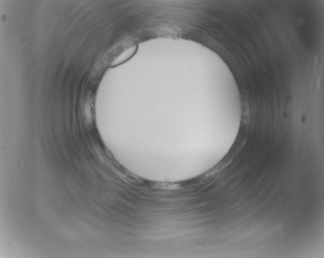 X0000051910334200507082036