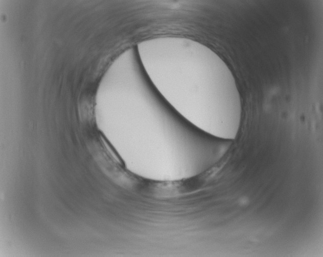 X0000051910335200507082036