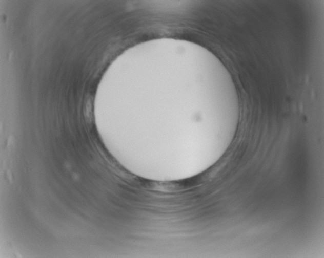 X0000051910336200507082036