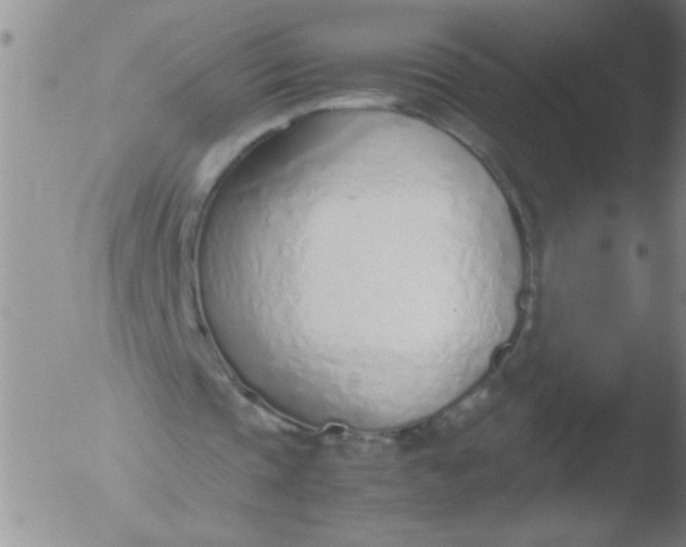 X0000051910337200507082035