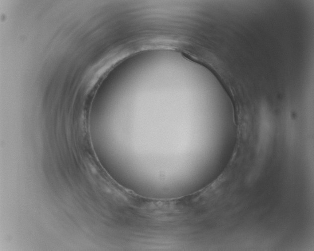 X0000051910338200507082035