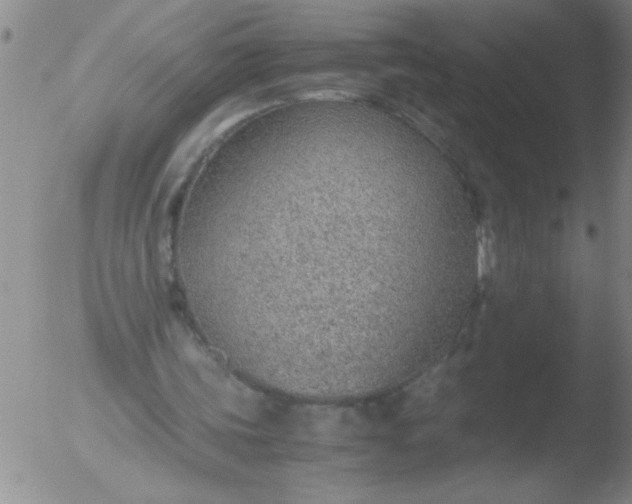 X0000051910339200507082035