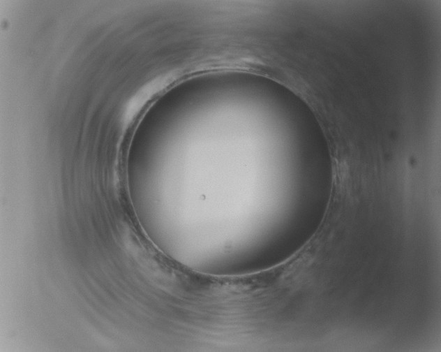 X0000051910340200507082035