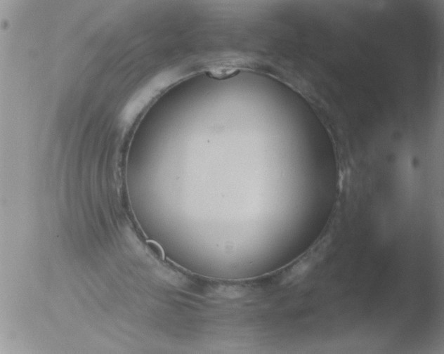 X0000051910341200507082035