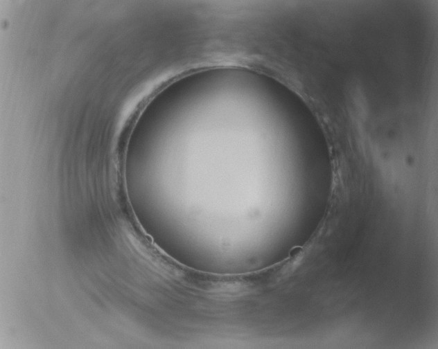 X0000051910342200507082035