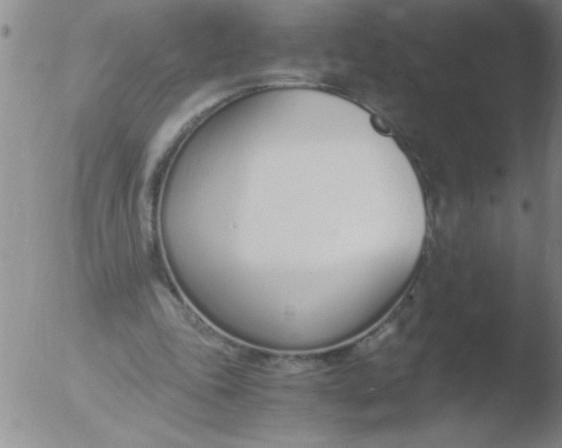 X0000051910343200507082035