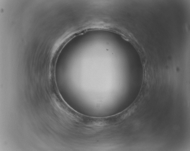 X0000051910344200507082035