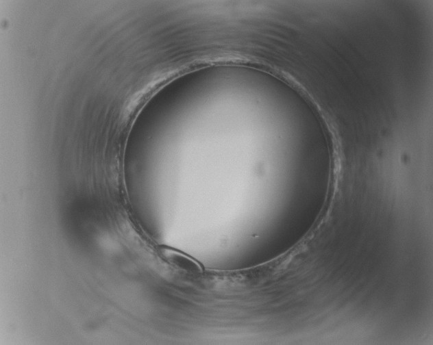 X0000051910345200507082035