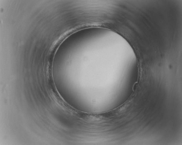 X0000051910346200507082035