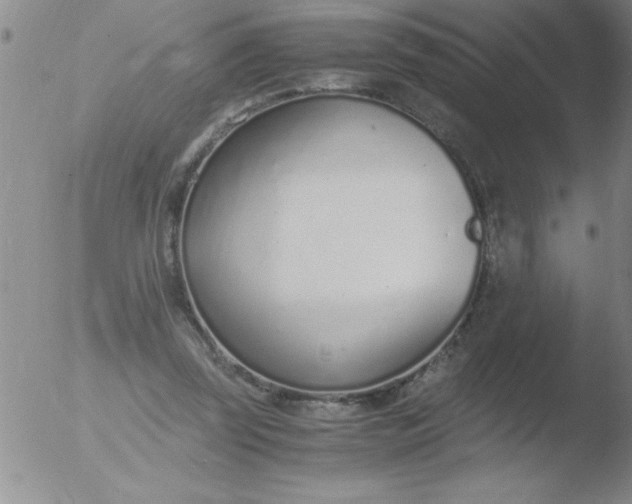 X0000051910347200507082035