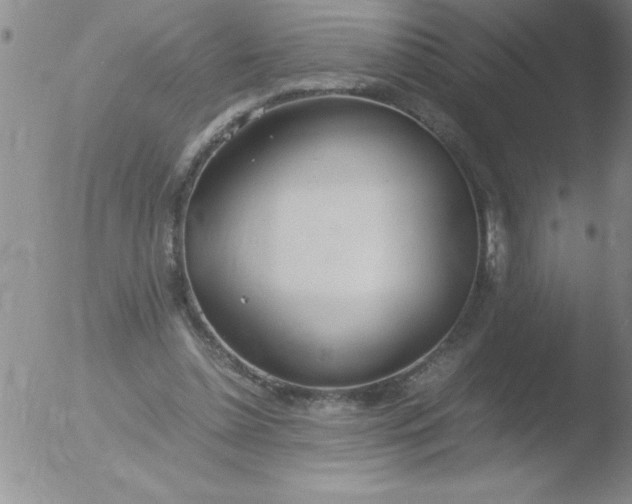 X0000051910348200507082035