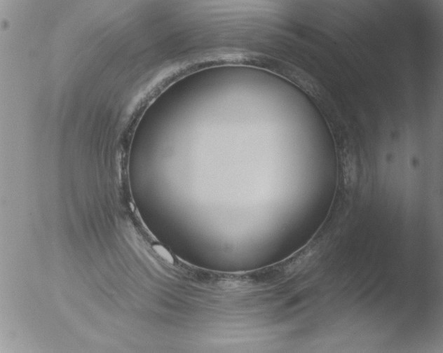 X0000051910350200507082035