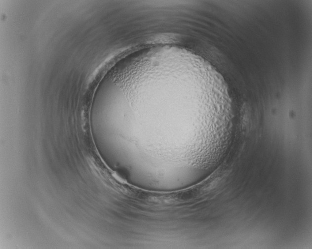 X0000051910351200507082035