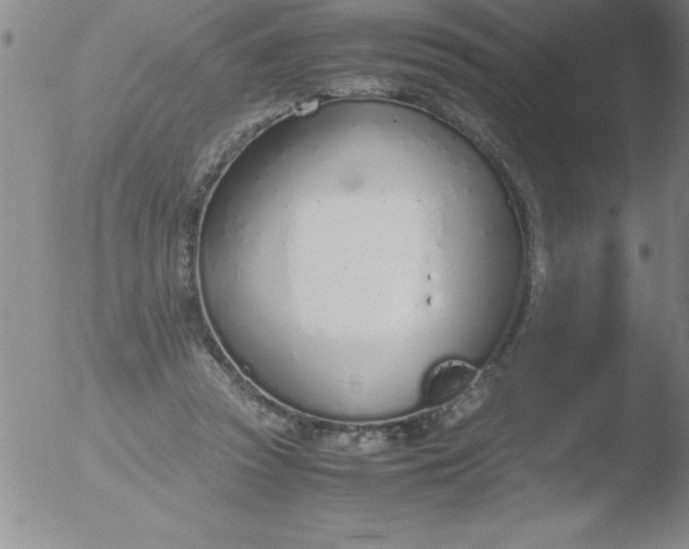 X0000051910353200507082035