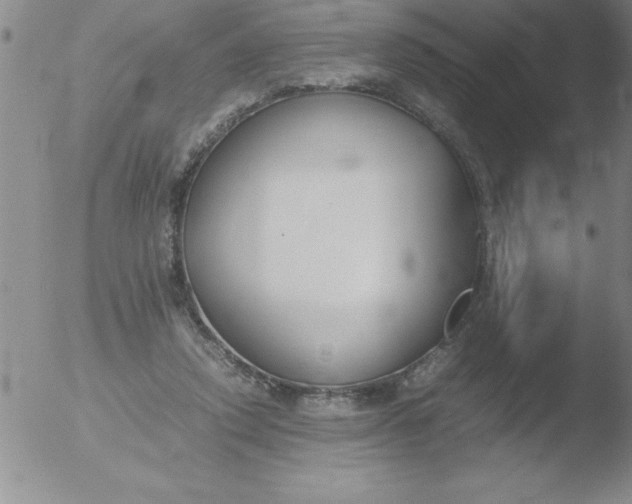 X0000051910354200507082035