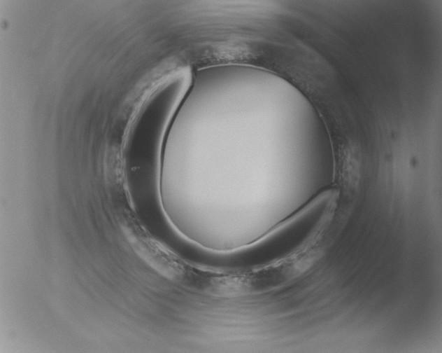 X0000051910356200507082035