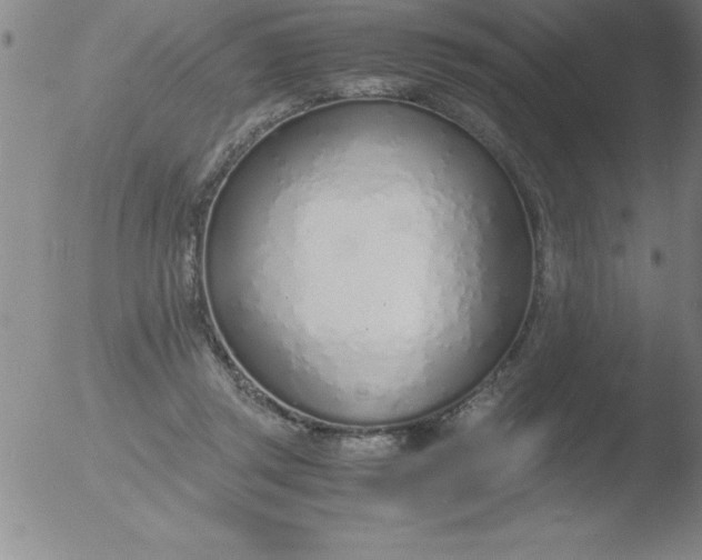 X0000051910357200507082035