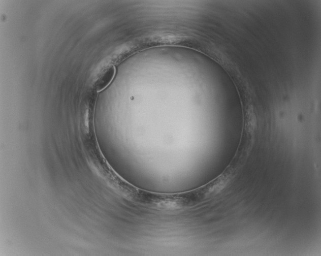 X0000051910358200507082035