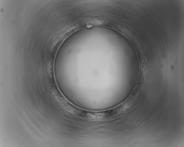 X0000051910359200507082035