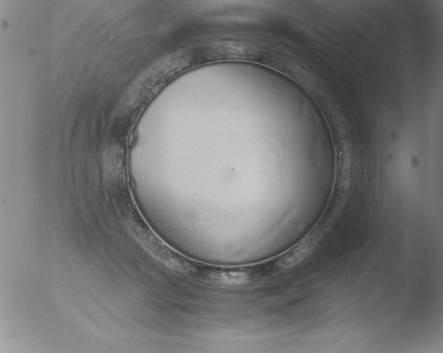 X0000051910361200507082035