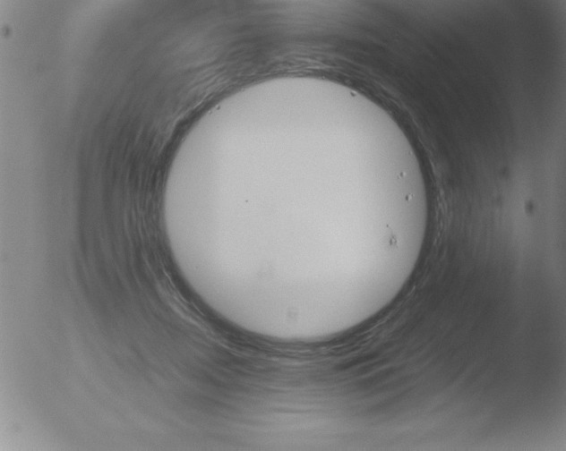 X0000051910362200507082035