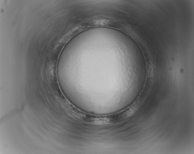 X0000051910363200507082035