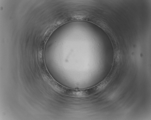 X0000051910365200507082035