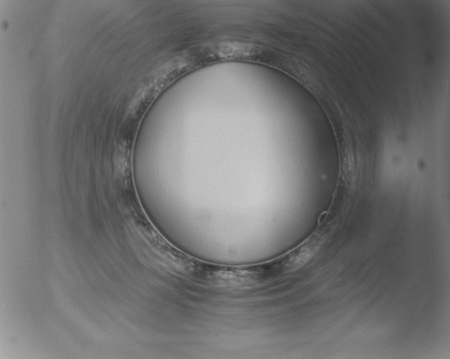 X0000051910367200507082035