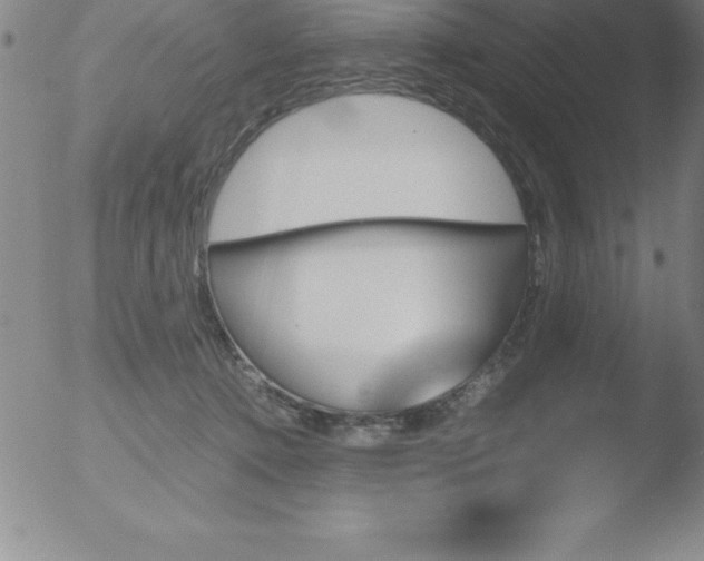 X0000051910368200507082035