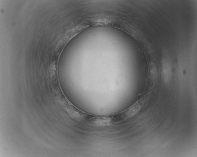 X0000051910369200507082035