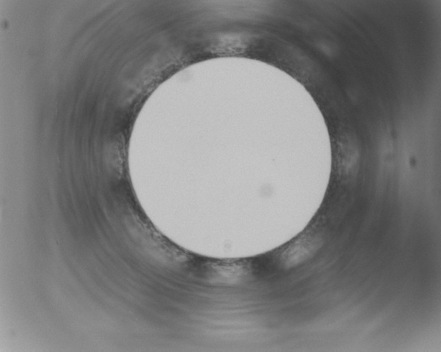 X0000051910370200507082035